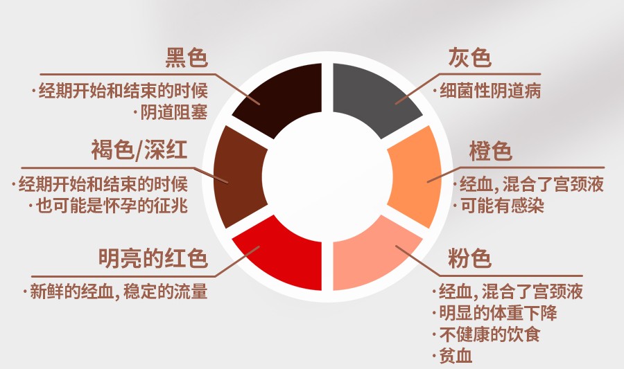 璞实包装内的经血颜色对照卡（内容整理自公开医学科普资料，仅供参考）